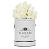 Luxury - Fresh White Roses